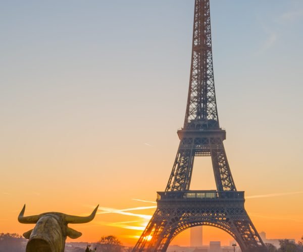 The Eiffel tower at sunrise in Paris France